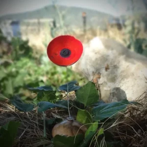 Coquelicots en bois tournés, pièces uniques façonnées à la main, teintées à l’encre ou à la teinture à l’alcool, accompagnées de leur soliflore assorti. Œuvres délicates signées Atelier O-Inspirations.