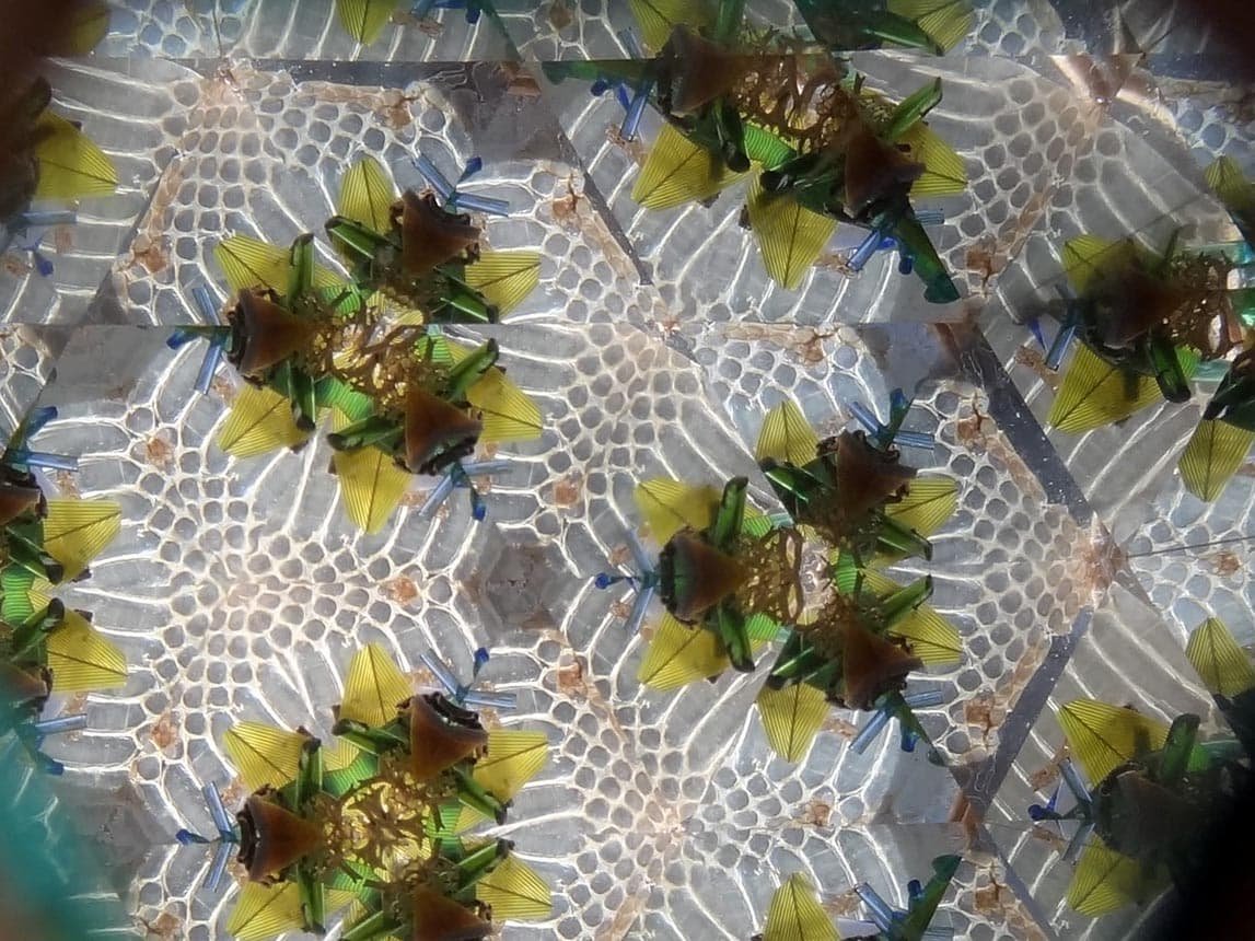 Intérieur kaléidoscope dentelle. Atelier La Goutte.